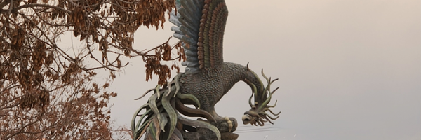 ‌دکتر مجید مروی‌'s header picture