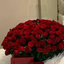 Profile picture of ‌حانیه محمدی‌