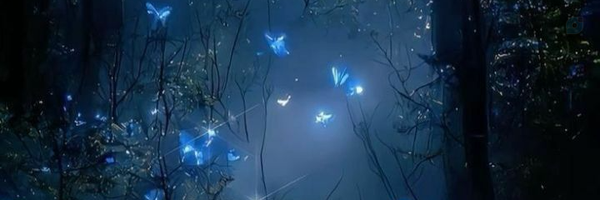 ‌Sahar sahraee‌'s header picture