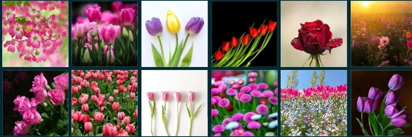‌عسل @‌'s header picture