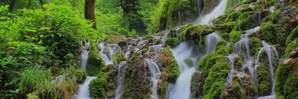 ‌صغری زارع‌'s header picture
