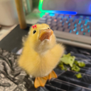 Profile picture of ‌Hedye🧋‌