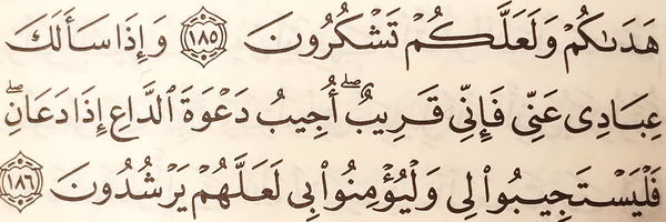 ‌حمید مولوی‌'s header picture