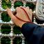 Profile picture of ‌ghased sheida‌