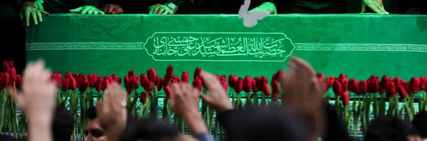 ‌☫مه لقا میربهاالدین 🇮🇷‌'s header picture
