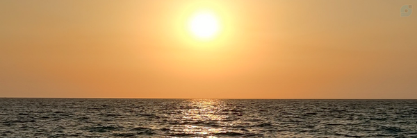 ‌Razieh Tashakori‌'s header picture