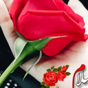 Profile picture of ‌شکوه حر‌