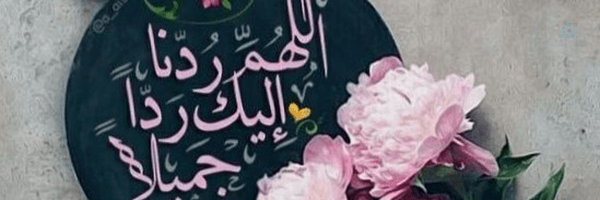 ‌F_P puorhamed‌'s header picture