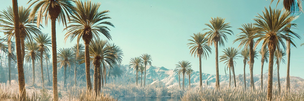 ‌محمد رنجبر‌'s header picture