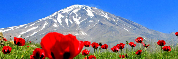 ‌سجاد‌'s header picture