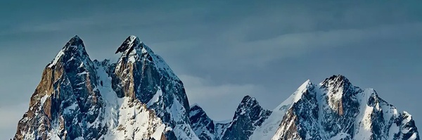 ‌حمایت انقلابی‌'s header picture