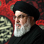 Profile picture of ‌محمد ابراهیم امینی‌