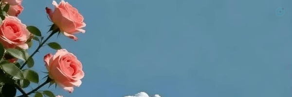 ‌سجاد دغاغله‌'s header picture