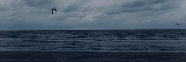 ‌Ghazal‌'s header picture