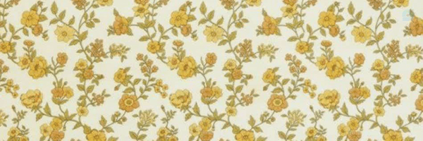 ‌خانم فاء‌'s header picture