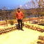 Profile picture of ‌Amirhafez Mbn‌