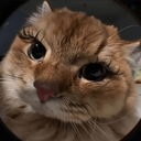 Profile picture of ‌گربه بـے آزارoff‌