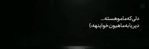 ‌•¦🤎𝐒𝐀𝐑𝐄𝐇🤎¦•‌'s header picture