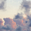 Profile picture of ‌بدیحه بانو‌