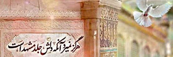 ‌سید حسین واحدی نسب‌'s header picture