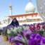 Profile picture of ‌عقیله⁶⁹‌