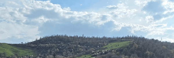 ‌سجاد مهدیان‌'s header picture