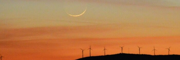 ‌بی نام *‌'s header picture