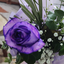 Profile picture of ‌هستی‌