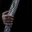 Profile picture of ‌- بانو سادات -‌