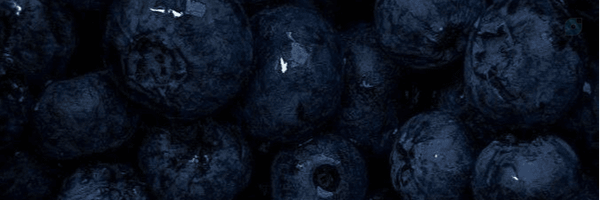 ‌بلوبری یخی.‌'s header picture