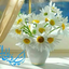 Profile picture of ‌آزاده‌