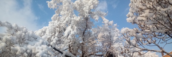 ‌عباس نعیمی‌'s header picture