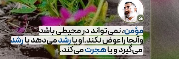 ‌منانه محمودی‌'s header picture
