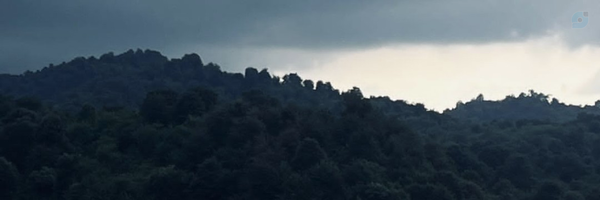 ‌Hadis‌'s header picture