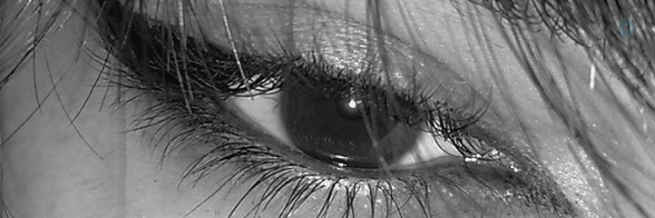 ‌Jeyran‌'s header picture