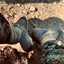 Profile picture of ‌Esmael Afrasiyabi‌