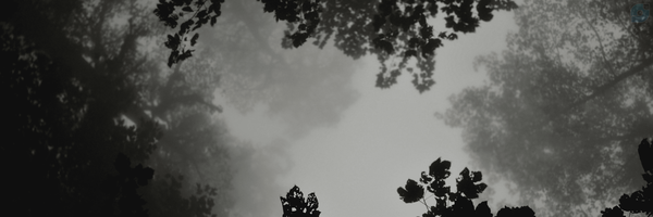 ‌A.H‌'s header picture