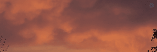 ‌MOHAMAD‌'s header picture