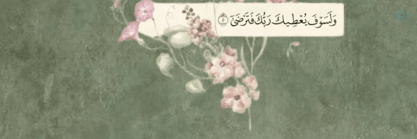 ‌مرضیه شایسته نیا‌'s header picture