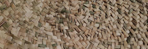 ‌علیرضا خجسته پور‌'s header picture