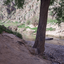Profile picture of ‌فریدون سعیدی‌