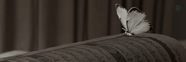 ‌ریحانه ی نور؛‌'s header picture