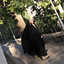 Profile picture of ‌Zeynab Haji Mohammdi‌