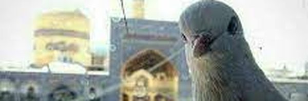 ‌اعظم خاکی‌'s header picture