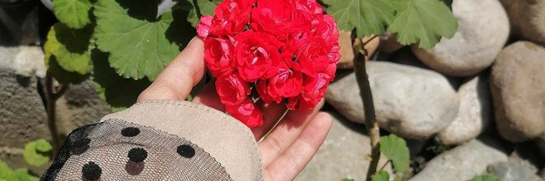 ‌دختر کوچیکه امام رضا:)‌'s header picture