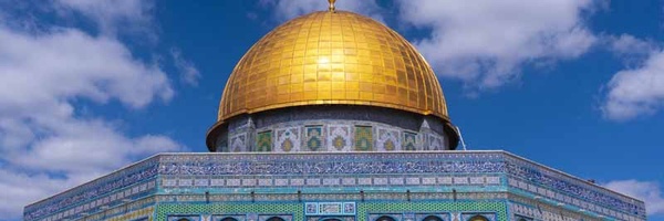 ‌مهدی بلوکات‌'s header picture
