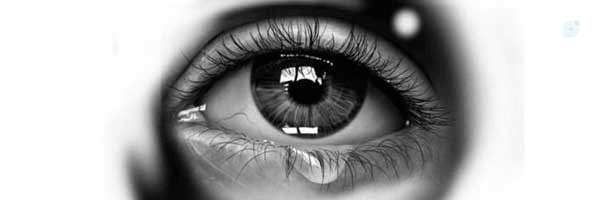 ‌saeid‌'s header picture