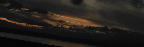 ‌خانمِ گُل‌'s header picture