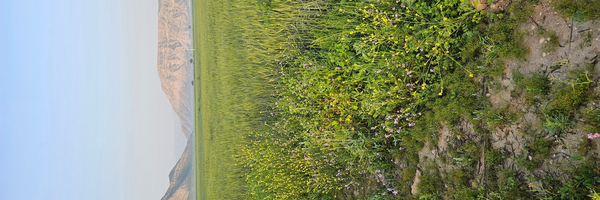 ‌عادل ارجمندی‌'s header picture