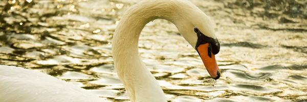 ‌فاطمه معینی‌'s header picture